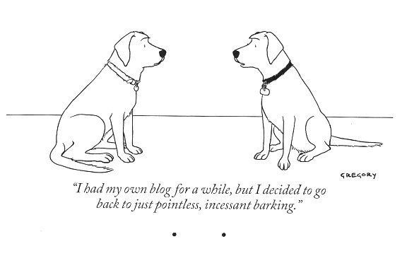 blog dog