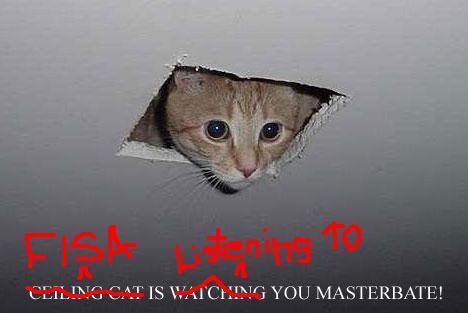 fisa.ceiling-cat