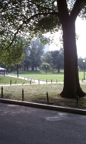 boston common